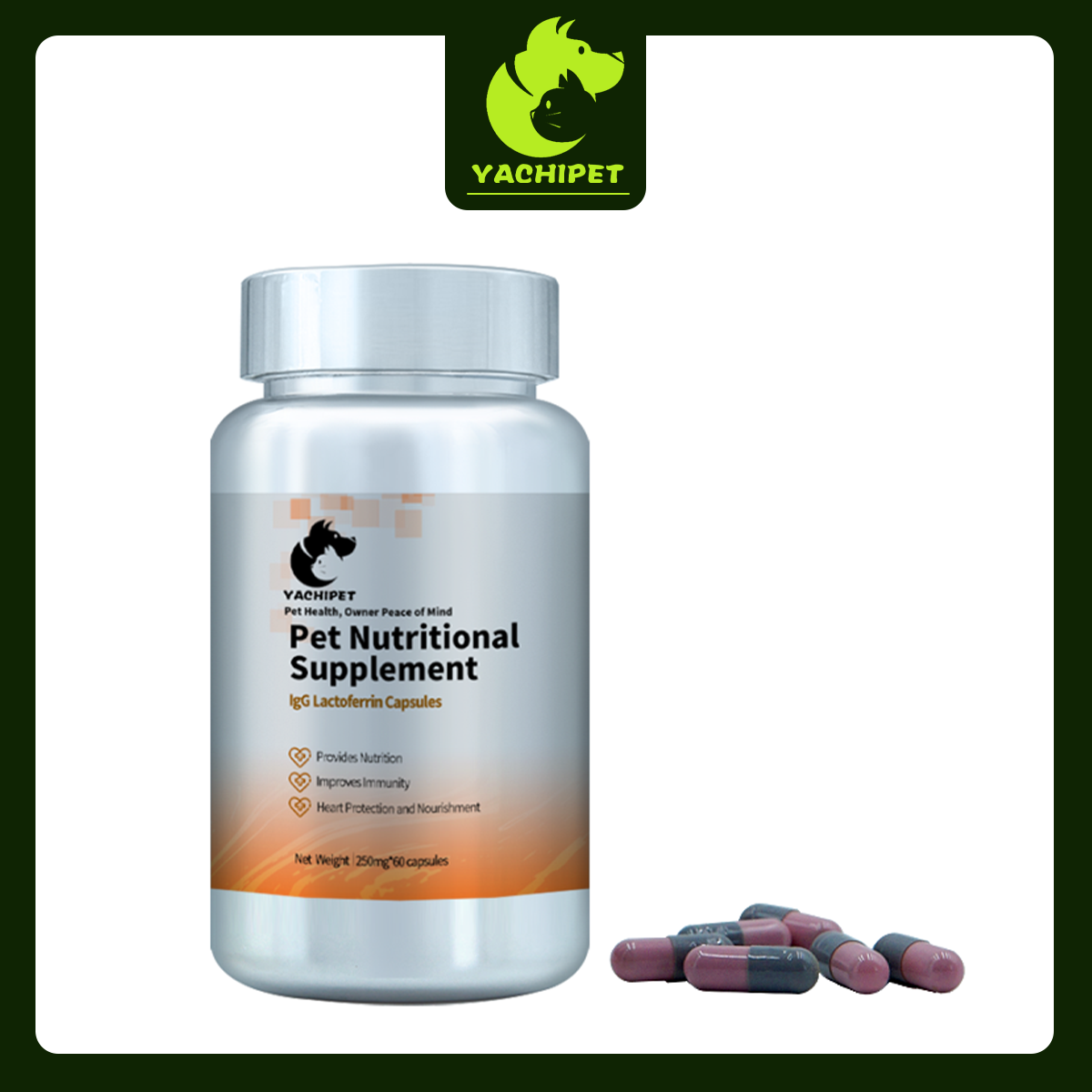 YACHIPET Pet Nutritional Supplement – IgG Lactoferrin Capsules (60 Capsules, 250mg)