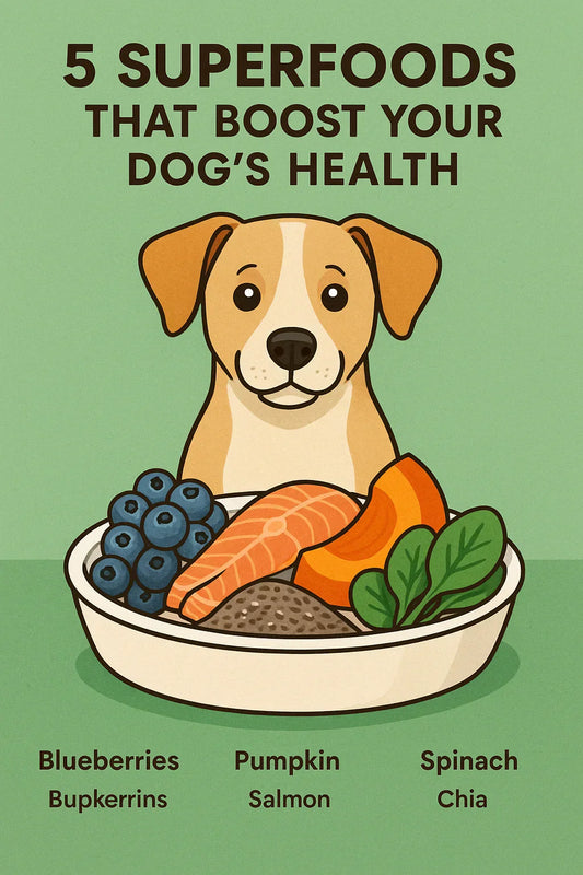 Discover five powerful superfoods that can improve your dog’s overall well-being. Easy to add to their daily meals!